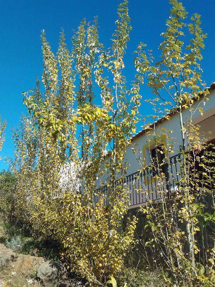 Casas Do Palheiro Velho ξενώνας Castro Marim Εξωτερικό φωτογραφία